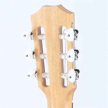 TAYLOR 112ce-N (エレガットモデル) テイラー 画像5