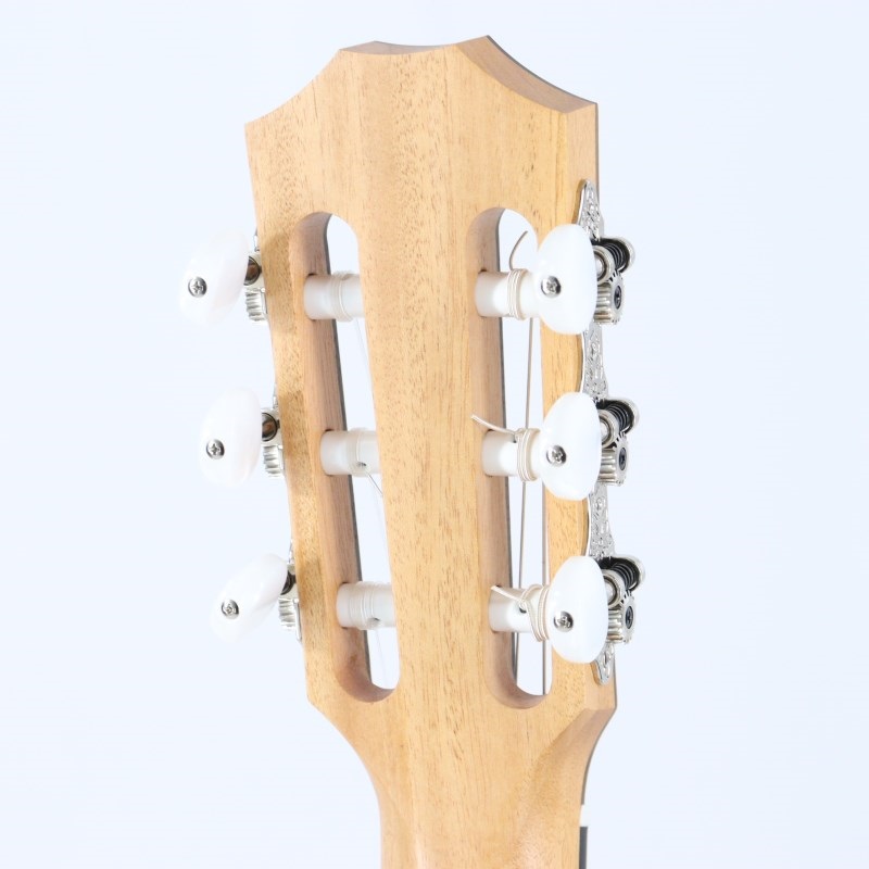 TAYLOR 112ce-N (エレガットモデル) テイラー 画像5