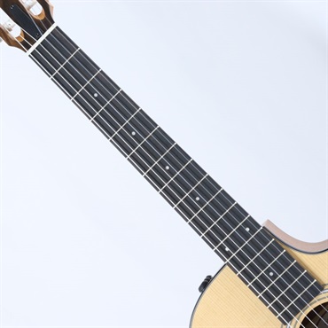 TAYLOR 112ce-N (エレガットモデル) テイラー 画像6