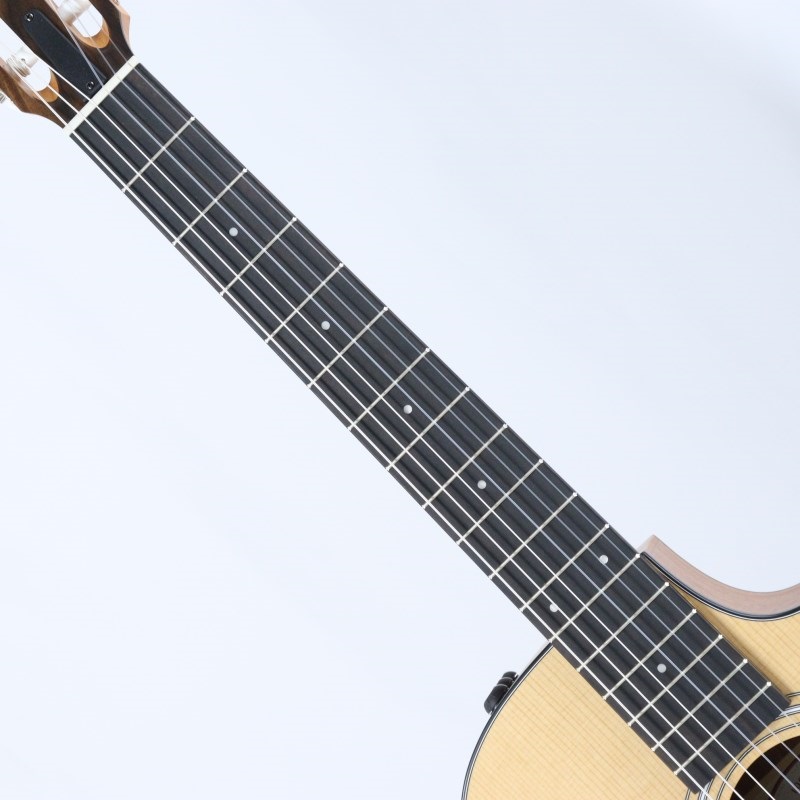 TAYLOR 112ce-N (エレガットモデル) テイラー 画像6