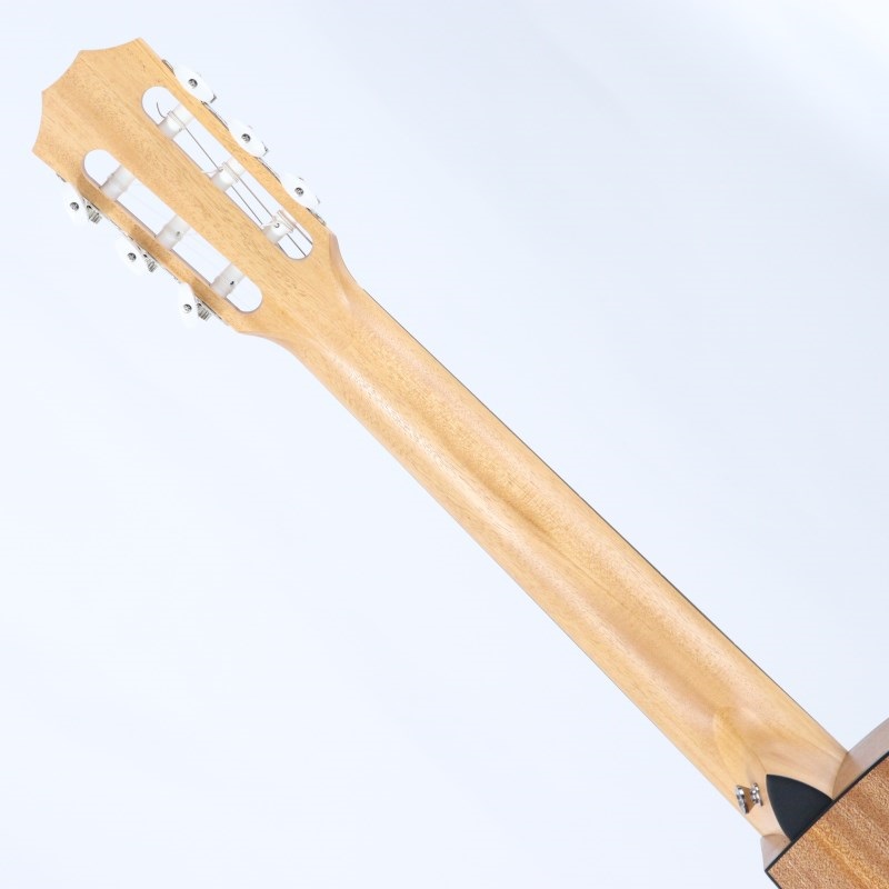 TAYLOR 112ce-N (エレガットモデル) テイラー 画像7