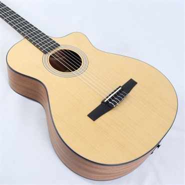 TAYLOR 112ce-N (エレガットモデル) テイラー 画像8