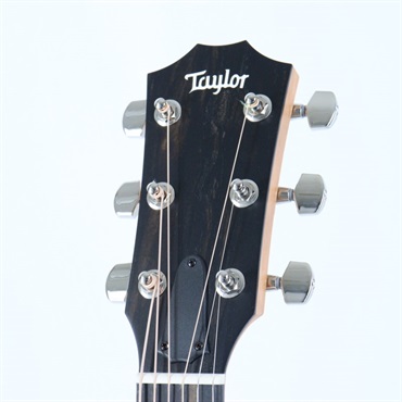 TAYLOR 214ce Rosewood Plus テイラー 画像4