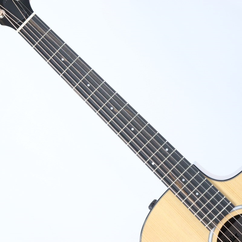 TAYLOR 214ce Rosewood Plus テイラー 画像6