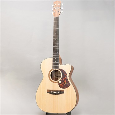 MATON SRS808C メイトン ｜イケベ楽器店オンラインストア