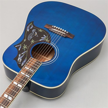 Gibson 【特別値下げ！！】【創業50周年大決算SALE】Miranda Lambert Bluebird (ミランダ・ランバードモデル) ギブソン 画像4