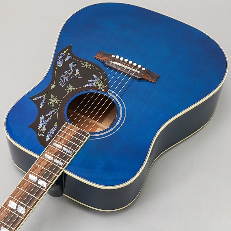 Gibson 【特別値下げ！！】【創業50周年大決算SALE】Miranda Lambert Bluebird (ミランダ・ランバードモデル) ギブソン 画像4