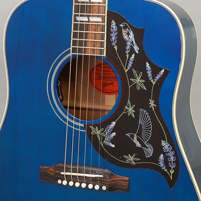Gibson 【特別値下げ！！】【創業50周年大決算SALE】Miranda Lambert Bluebird (ミランダ・ランバードモデル) ギブソン 画像6