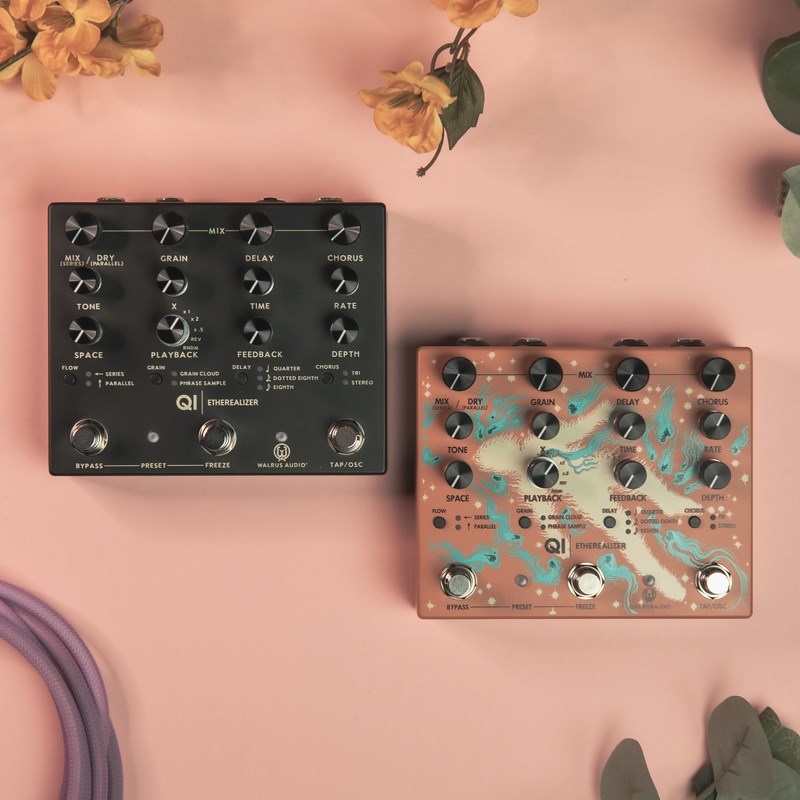 WALRUS AUDIO Qi Etherealizer #TC（Terracotta） 画像4