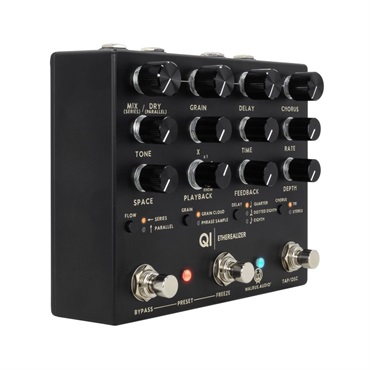 WALRUS AUDIO Qi Etherealizer #BK（Black） 画像1