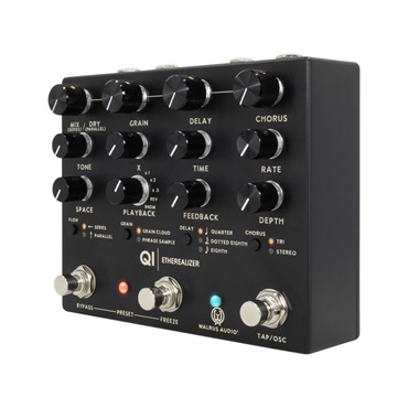 WALRUS AUDIO Qi Etherealizer #BK（Black） 画像2