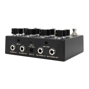 WALRUS AUDIO Qi Etherealizer #BK（Black） 画像3