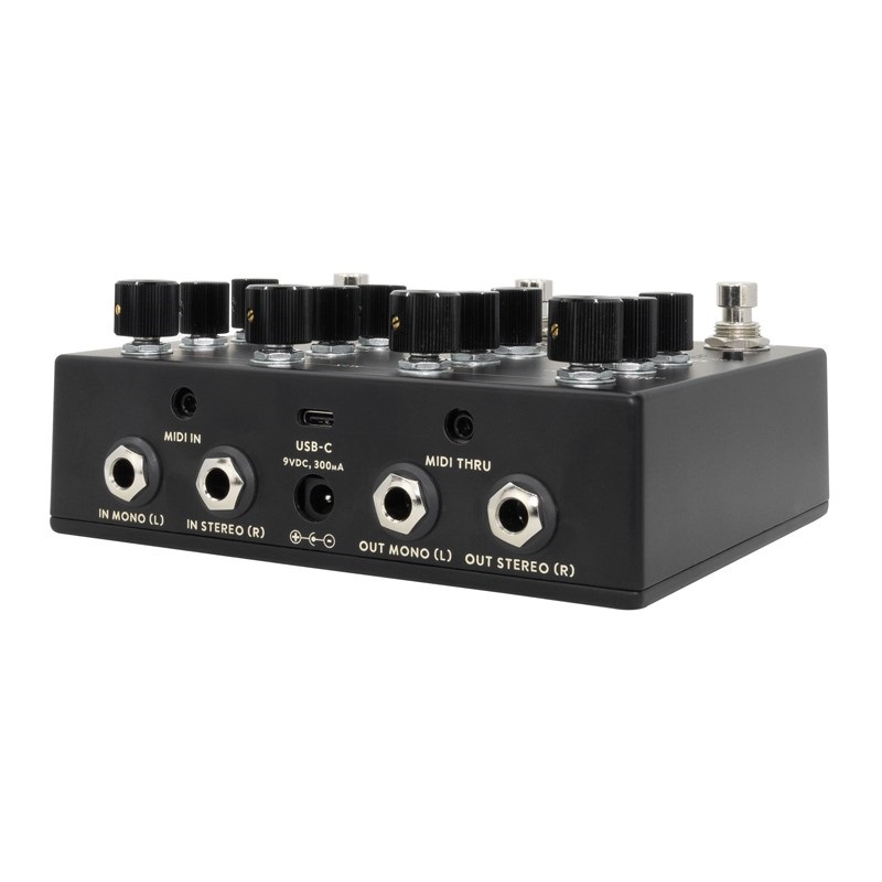 WALRUS AUDIO Qi Etherealizer #BK（Black） 画像3