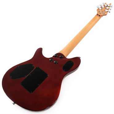 EVH Wolfgang Special QM (Solar/Baked Maple) 画像2