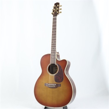 TAKAMINE DMP761C TB タカミネ 画像1