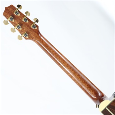 TAKAMINE DMP761C TB タカミネ 画像5