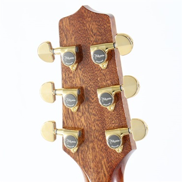 TAKAMINE DMP761C TB タカミネ 画像7