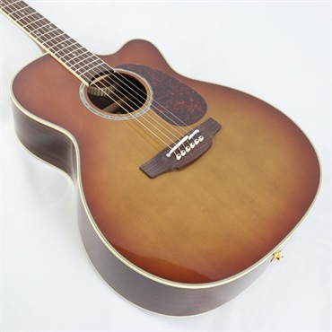 TAKAMINE DMP761C TB タカミネ 画像9