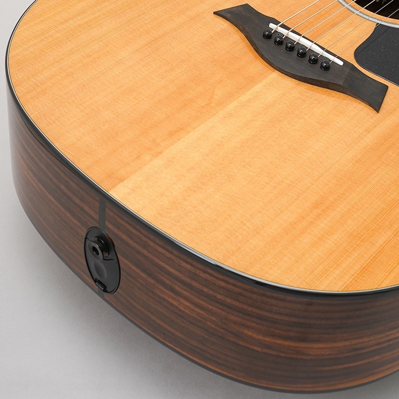 TAYLOR 214ce Plus テイラー 画像7