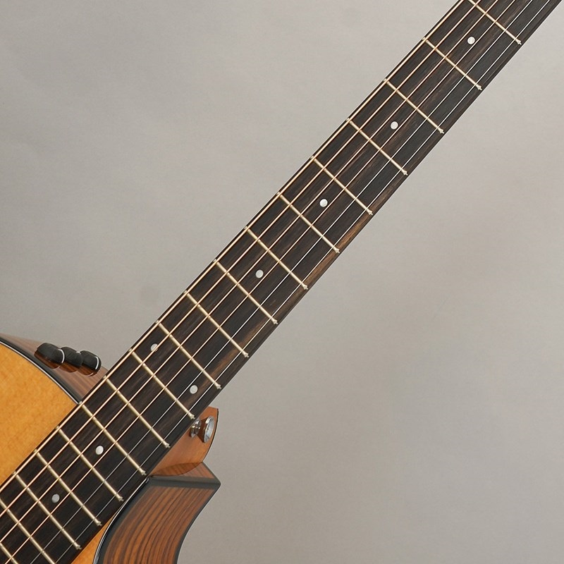 TAYLOR 214ce Plus テイラー 画像8