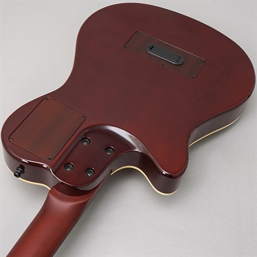 Godin Multiac Grand Concert Deluxe ゴダン 画像5