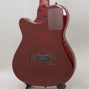 Godin Multiac Nylon Deluxe ゴダン 画像1