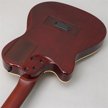 Godin Multiac Nylon Deluxe ゴダン 画像5