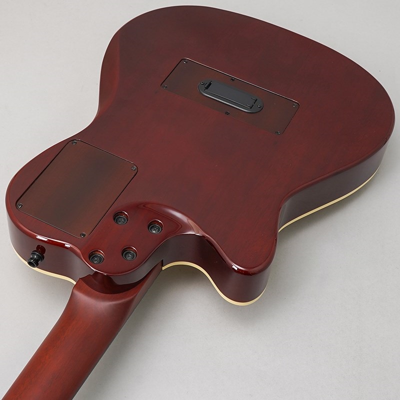 Godin Multiac Nylon Deluxe ゴダン 画像5