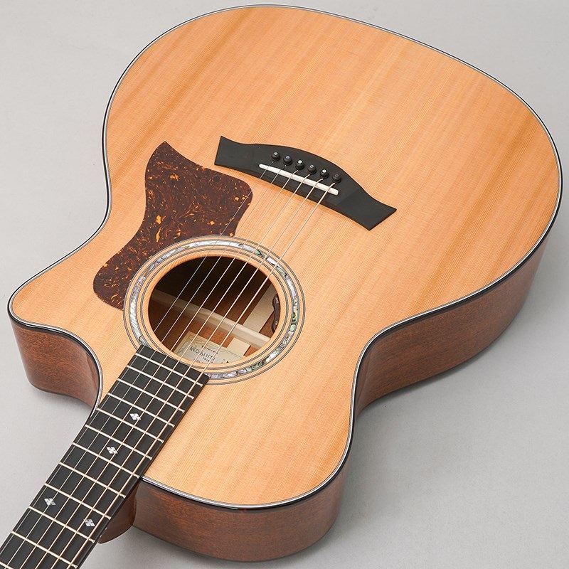 TAYLOR Legacy 514ce テイラー 画像4