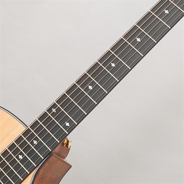 TAYLOR Legacy 514ce テイラー 画像8