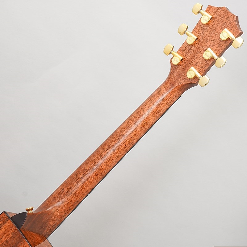 TAYLOR Legacy 514ce テイラー 画像9