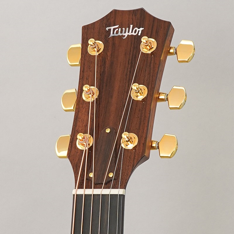 TAYLOR Legacy 514ce テイラー 画像10