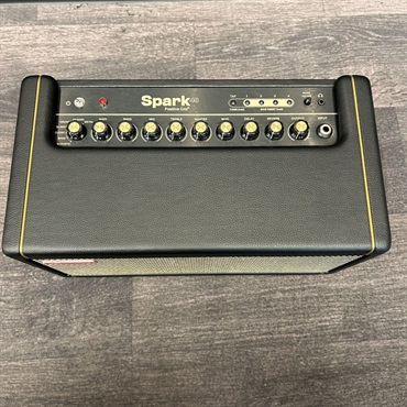 Positive Grid 【USED】 Spark 40 画像2