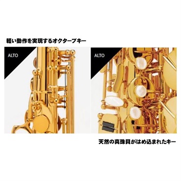Selmer Paris 【神保佳祐氏選定品】アルトサックス セルマー Signature シグネチャー DARK SL(ダークシグネチャーラッカー)【選定料サービス!!】 【調整&セットアップ後出荷】【5年間キーバランス調整無料】 画像3
