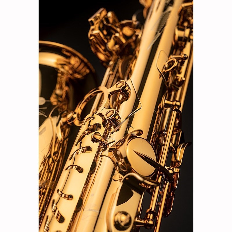 Selmer Paris 【神保佳祐氏選定品】アルトサックス セルマー Signature シグネチャー DARK SL(ダークシグネチャーラッカー)【選定料サービス!!】 【調整&セットアップ後出荷】【5年間キーバランス調整無料】 画像6