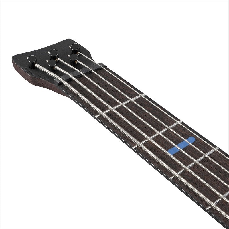 Ibanez 【入荷待ち、ご予約受付中】 Bass Workshop EHB5MSBSP-MAM [SPOT MODEL] 画像4