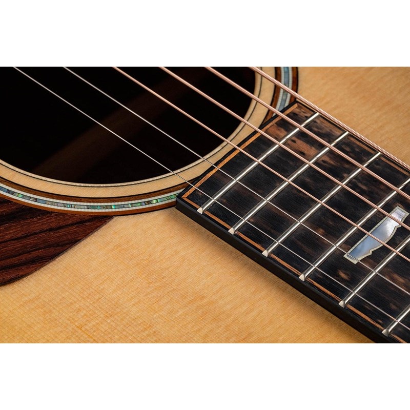 TAYLOR 818e 【お取り寄せ】 テイラー 画像3