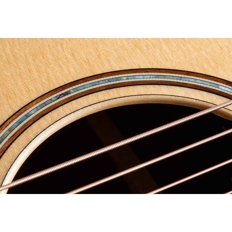 TAYLOR 818e 【お取り寄せ】 テイラー 画像5