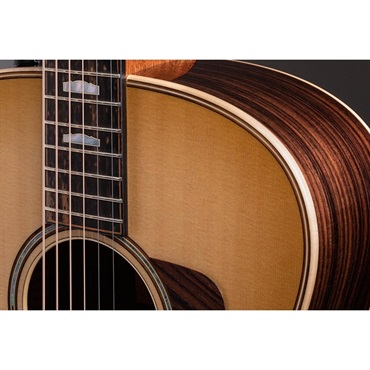 TAYLOR 818e 【お取り寄せ】 テイラー 画像6