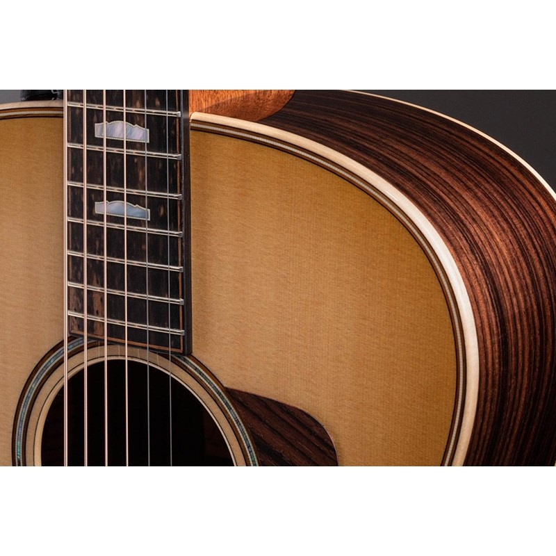TAYLOR 818e 【お取り寄せ】 テイラー 画像6