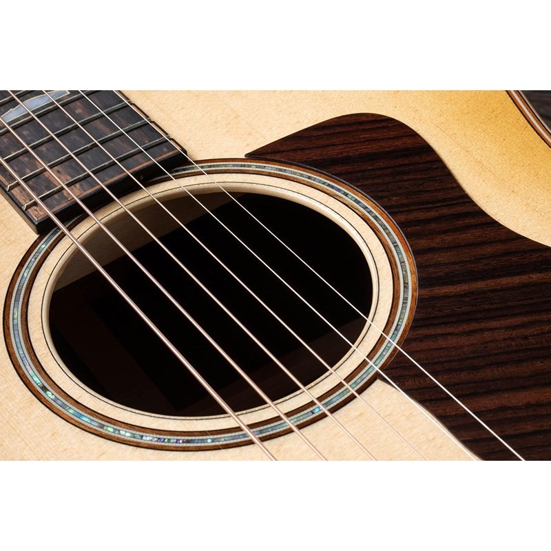 TAYLOR 818e 【お取り寄せ】 テイラー 画像7