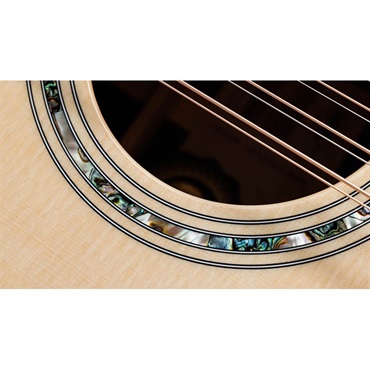 TAYLOR 858e 50th 【お取り寄せ】 テイラー 画像5