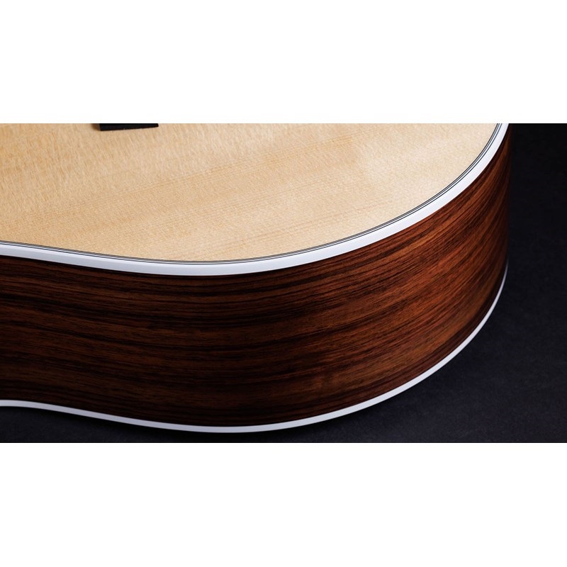 TAYLOR 858e 50th 【お取り寄せ】 テイラー 画像7