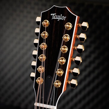 TAYLOR 858e 50th 【お取り寄せ】 テイラー 画像8