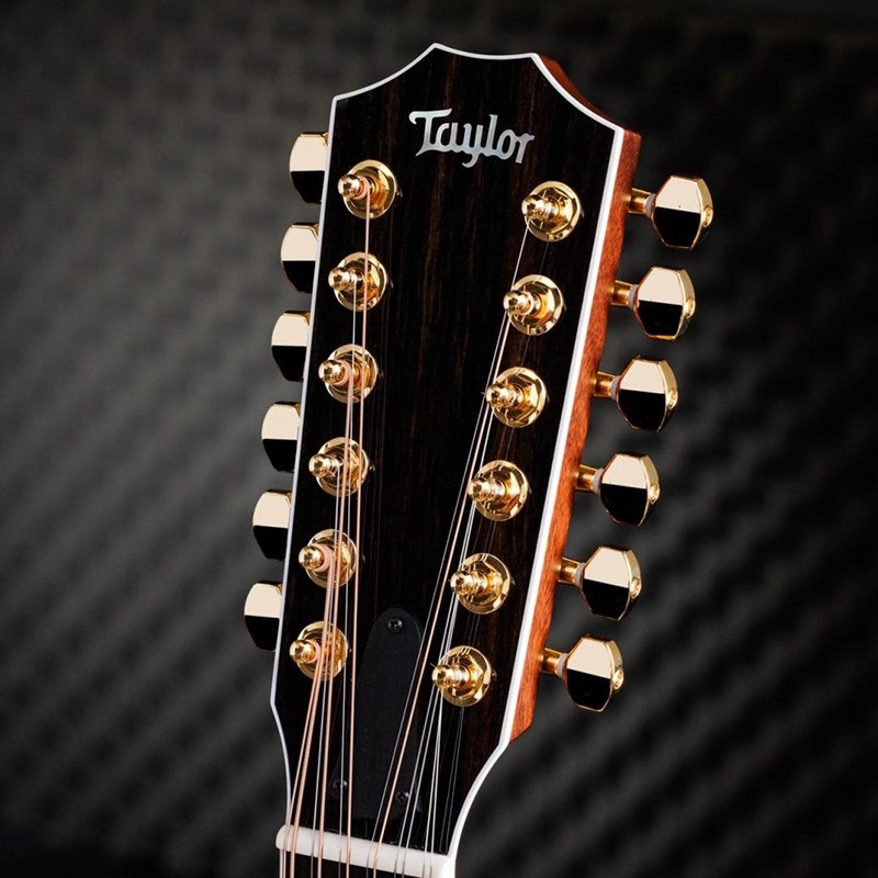 TAYLOR 858e 50th 【お取り寄せ】 テイラー 画像8
