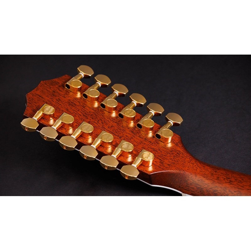 TAYLOR 858e 50th 【お取り寄せ】 テイラー 画像9