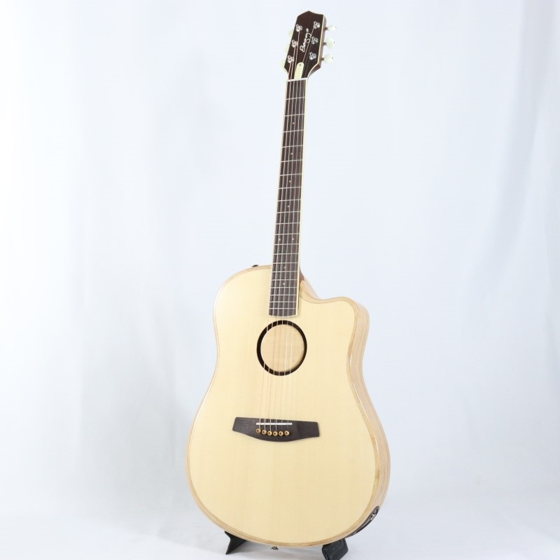 L.R.Baggs AEG-1 NAT エルアールバックス 画像1
