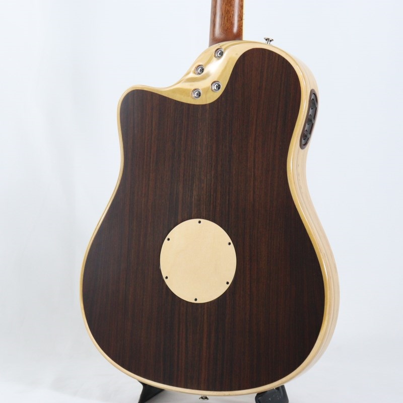 L.R.Baggs AEG-1 NAT エルアールバックス 画像2