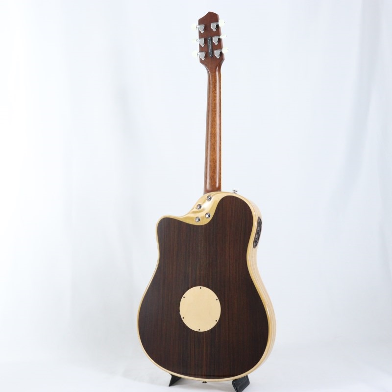 L.R.Baggs AEG-1 NAT エルアールバックス 画像3