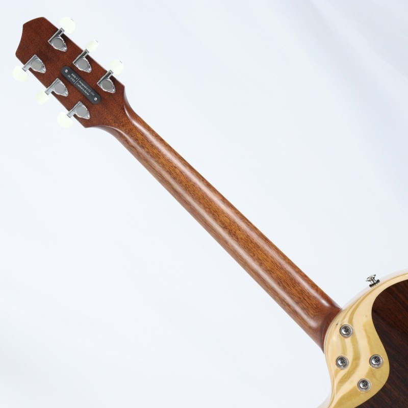 L.R.Baggs AEG-1 NAT エルアールバックス 画像7
